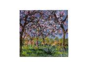 Claude Monet Printemps a Giverny china oil painting reproduction